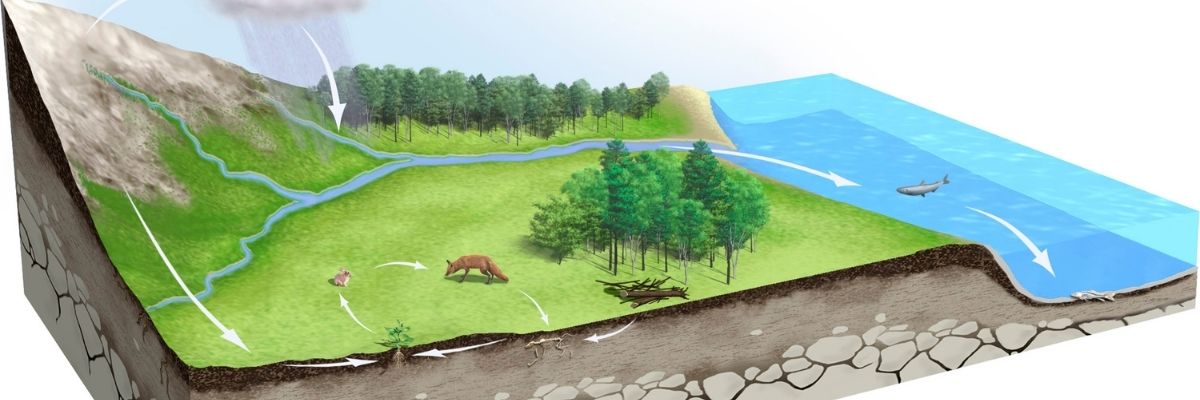 Réduire l'Impact Environnemental